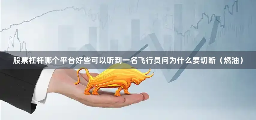 股票杠杆哪个平台好些可以听到一名飞行员问为什么要切断（燃油）