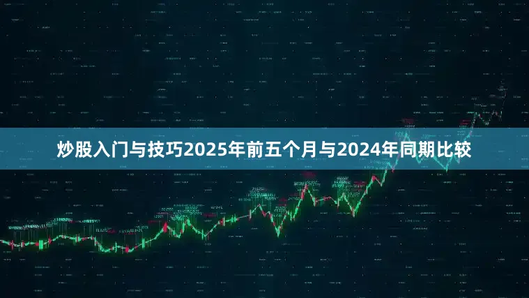 炒股入门与技巧2025年前五个月与2024年同期比较